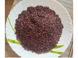 Organic Black Rice