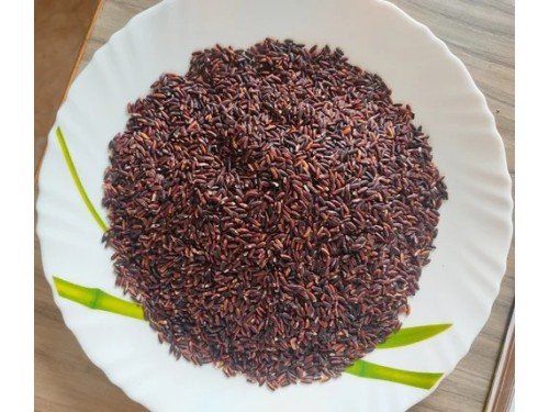 Organic Black Rice